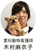 愛玩動物看護師 木村麻衣子